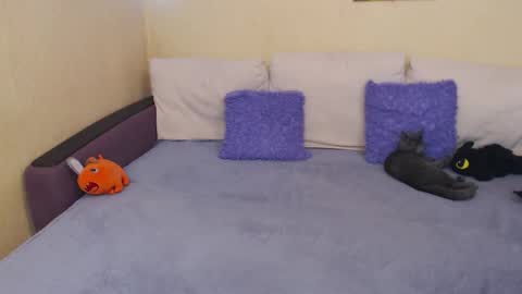 Jul online show from September 2025 03:03:02 PM