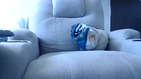 Julie bunny online show from December 2024 04:04:02 PM