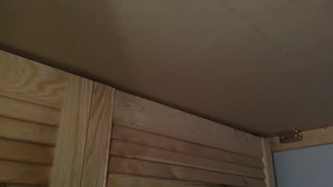 Snapshot of junction1000 chatting on October 2025 07:27:02 AM Gregor online show from October 2025 07:27:02 AM