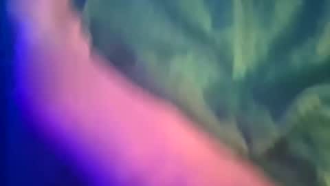 Snapshot of just4funfunfun87 chatting on March 2025 12:11:02 AM Yuri online show from March 2025 12:11:02 AM