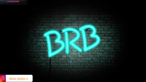 Snapshot of just_katiex chatting on January 2025 10:54:01 PM Sofia online show from January 2025 10:54:01 PM