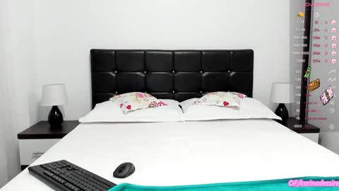 Snapshot of karina_sunshine chatting on December 2024 11:29:02 AM Karina online show from December 2024 11:29:02 AM