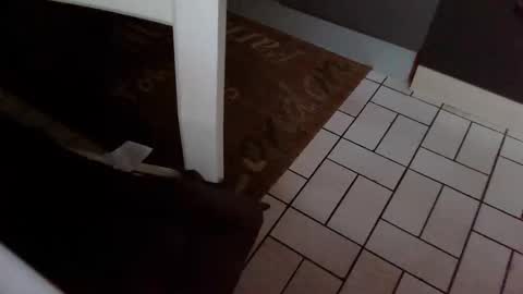 Kev online show from October 2025 07:42:01 AM