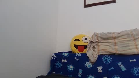    online show from January 2025 01:31:01 PM
