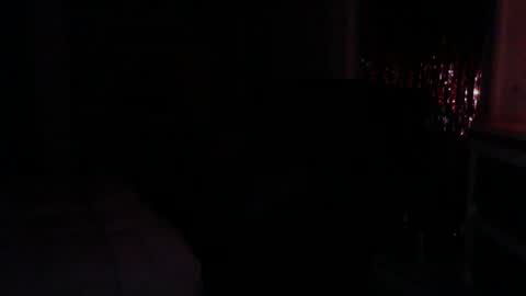sexykat online show from September 2025 08:02:02 AM