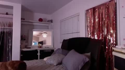 sexykat online show from October 2025 07:38:01 AM