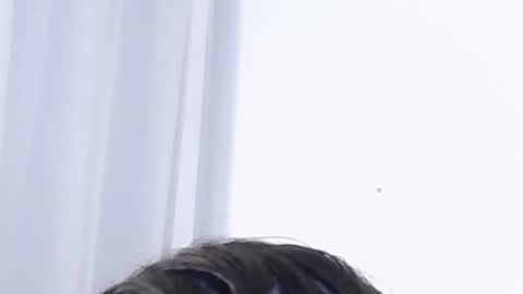 Help me with rate thanks  online show from January 2025 03:09:01 AM