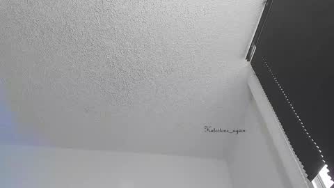 Snapshot of katestone_again chatting on November 2025 05:02:02 PM love meeee online show from November 2025 05:02:02 PM