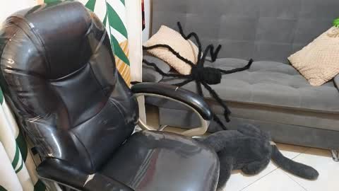 kathie_lozada online show from October 2025 06:17:01 AM