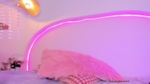 Katy  IGPeach kat666 online show from January 2025 04:39:01 PM