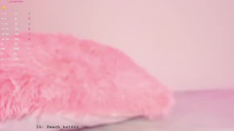 Katy  IGPeach kat666 online show from January 2025 03:35:01 PM