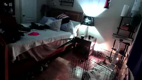 Snapshot of kevincosco65 chatting on February 2025 05:09:02 AM kevincosco65 online show from February 2025 05:09:02 AM