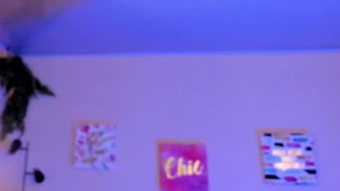 Snapshot of keyla_roberts_ chatting on February 2025 09:44:02 AM Adhara. Help me reach 100 likes online show from February 2025 09:44:02 AM