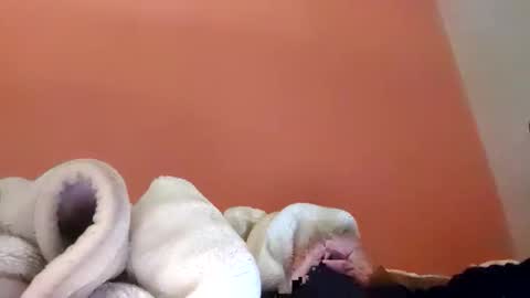 khawarhussain902 online show from November 2025 07:52:02 PM