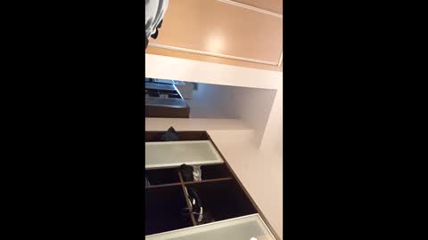 kingnavo online show from November 2025 05:35:02 PM