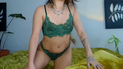 Rose online show from March 2025 07:37:01 PM