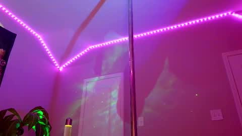 Rose online show from November 2025 11:27:02 PM