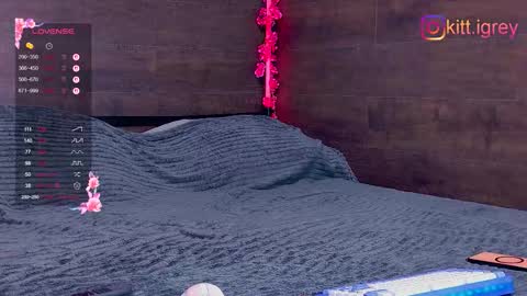 Snapshot of kitigrey chatting on October 2025 09:55:02 AM kitigrey online show from October 2025 09:55:02 AM