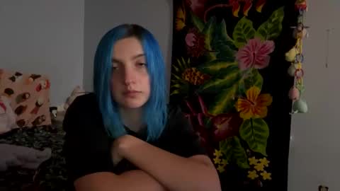 Kitty online show from December 2024 07:54:02 AM