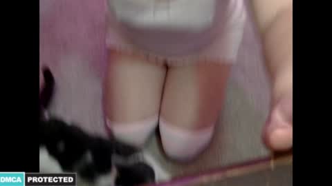 Kitty online show from January 2025 02:09:01 AM