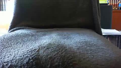 Snapshot of kledenn chatting on October 2025 10:23:02 AM kledenn online show from October 2025 10:23:02 AM