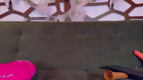 kloe_bella online show from October 2025 03:38:02 PM