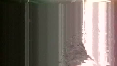 Snapshot of knock2wice1975 chatting on January 2025 12:33:01 PM knock2wice1975 online show from January 2025 12:33:01 PM