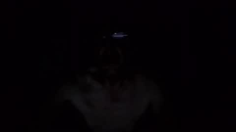 Snapshot of kobolt67 chatting on October 2025 04:54:01 AM kobolt67 online show from October 2025 04:54:01 AM