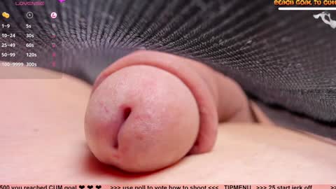 Snapshot of kpetra chatting on January 2025 05:53:01 PM Petra online show from January 2025 05:53:01 PM