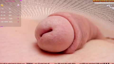 Snapshot of kpetra chatting on February 2025 05:30:02 PM Petra online show from February 2025 05:30:02 PM