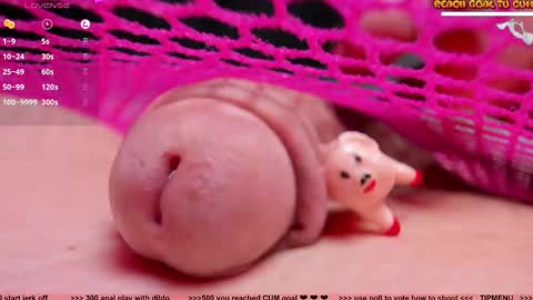 Snapshot of kpetra chatting on February 2025 07:52:01 PM Petra online show from February 2025 07:52:01 PM