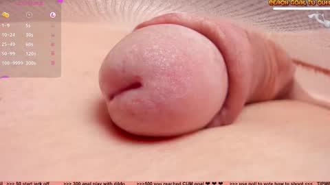 Snapshot of kpetra chatting on March 2025 06:56:01 PM Petra online show from March 2025 06:56:01 PM