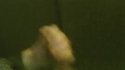 Snapshot of kren565656 chatting on January 2025 09:35:02 AM kren565656 online show from January 2025 09:35:02 AM