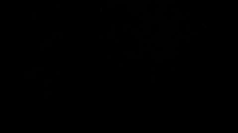 kylie_bloom online show from October 2025 06:20:02 PM