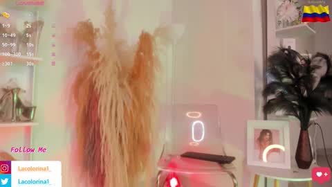 Snapshot of lacolorina_ chatting on November 2025 04:07:01 PM Colorina online show from November 2025 04:07:01 PM