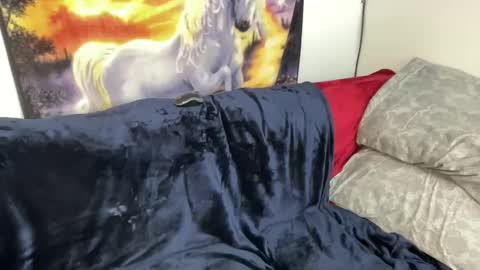 Lacy8Vankort online show from February 2025 08:53:02 PM