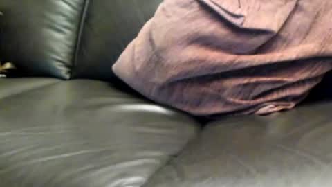 Snapshot of ladyloverwithcock chatting on March 2025 07:53:01 PM tomtom online show from March 2025 07:53:01 PM