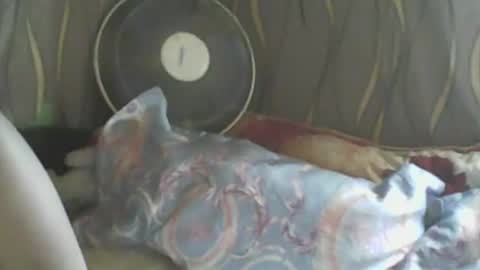 LadyXSnakes online show from January 2025 05:26:02 AM