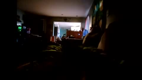 lambofgod90_ online show from November 2025 03:34:01 PM