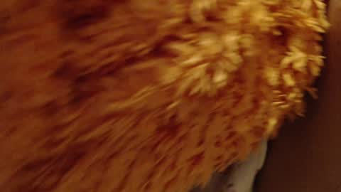 laralhotr online show from December 2024 10:09:01 PM