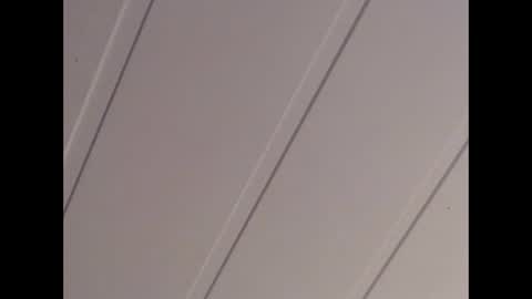 Snapshot of latex2003 chatting on December 2024 02:57:01 AM Latex2003 online show from December 2024 02:57:01 AM