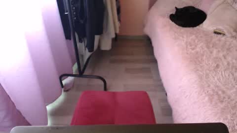 latinboobs23 online show from December 2024 09:45:02 PM