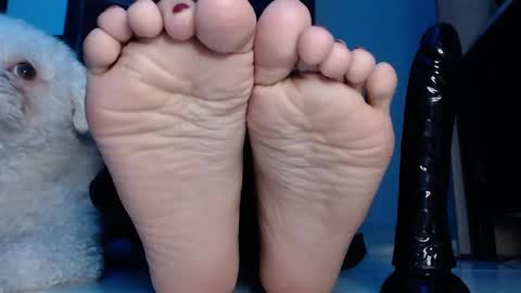 Snapshot of latinfeetqos chatting on January 2025 08:18:02 AM Martina April online show from January 2025 08:18:02 AM