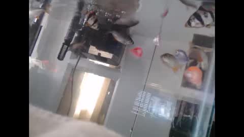 latinlover513 online show from March 2025 10:16:02 PM