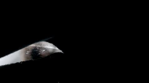 Laura online show from December 2024 09:00:02 PM