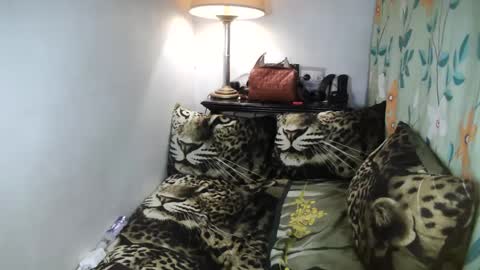 Belle online show from February 2025 10:08:02 PM