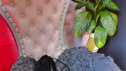 Layla online show from October 2025 06:47:01 PM