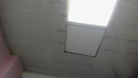 Snapshot of leamoreau__ chatting on November 2025 11:21:01 AM leamoreau__ online show from November 2025 11:21:01 AM