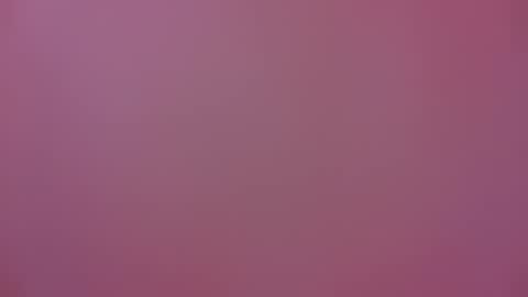 Michel online show from January 2025 06:23:01 PM