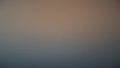 Michel online show from March 2025 12:01:02 PM